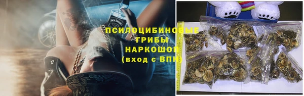 сатива Балахна