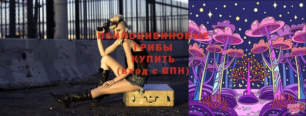 сатива Балахна